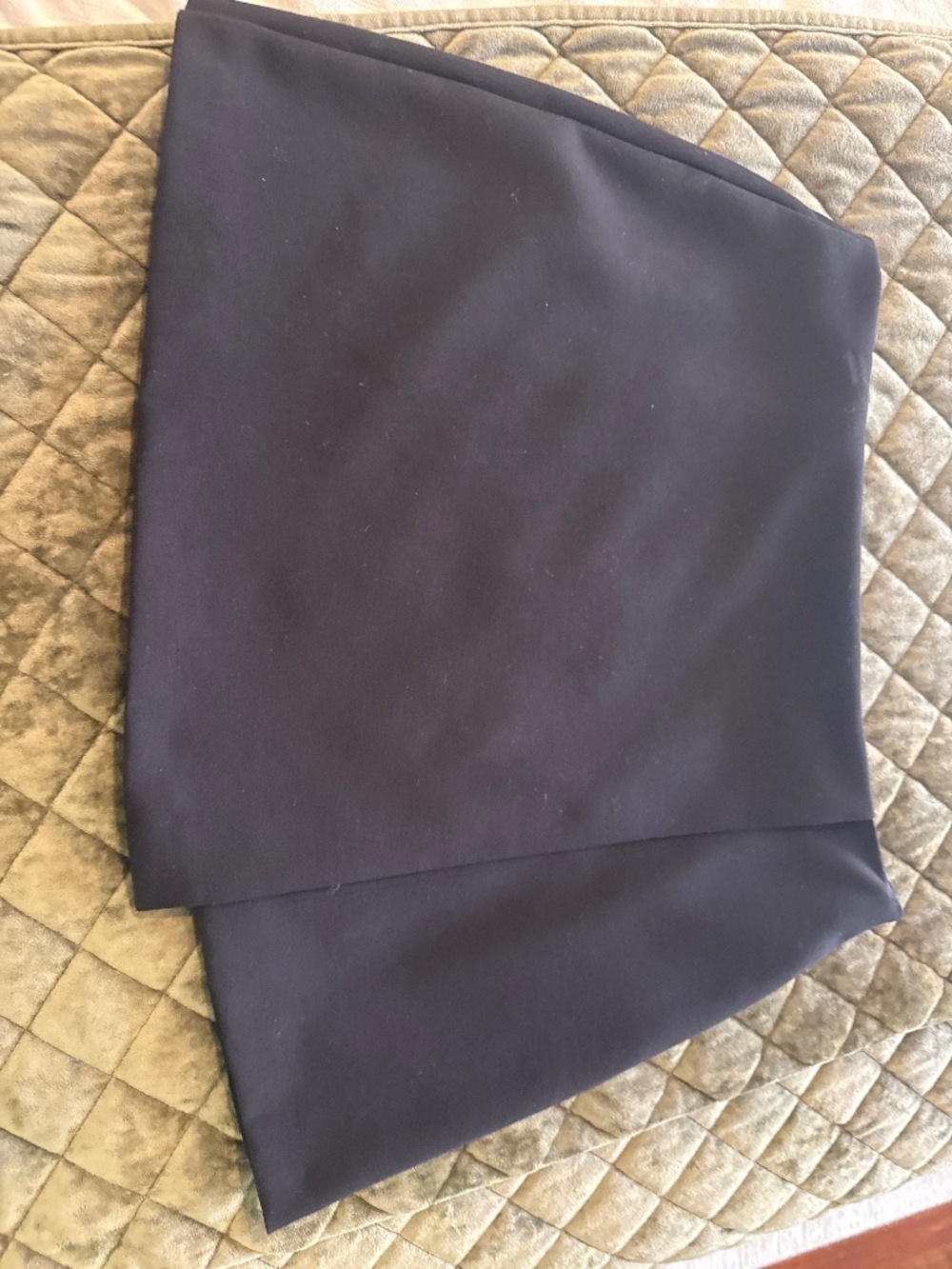 Gianni bini skirt